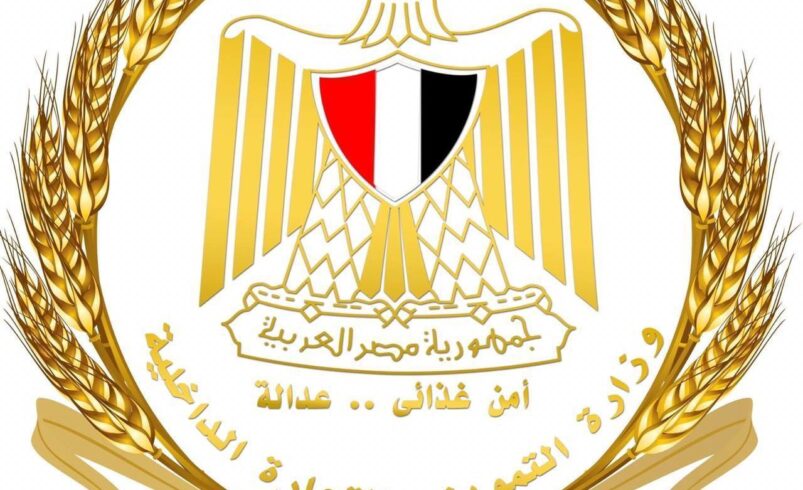 استراتيجية الوزارة